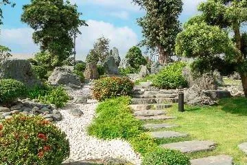 Tiêu chuẩn chọn Tùng La Hán cho khu đô thị cao cấp