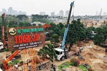 Nâng tầm trải nghiệm không gian sống xanh – Hệ thống Vườn Tùng Toàn JP