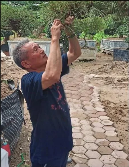 Chăm sóc chuyên sâu