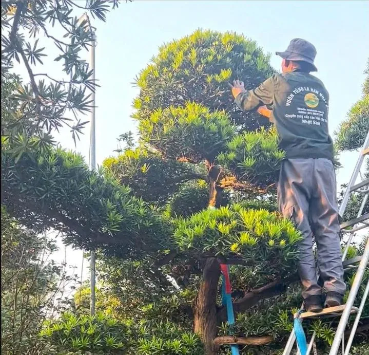 Đồng hành lâu dài