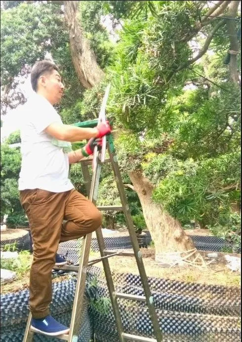 Nghệ nhân chỉnh dáng
