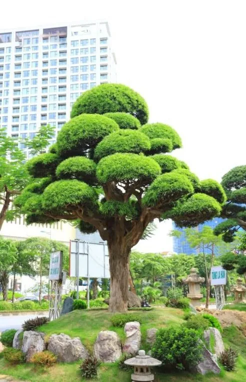 Cảnh quan cổng chính khu đô thị